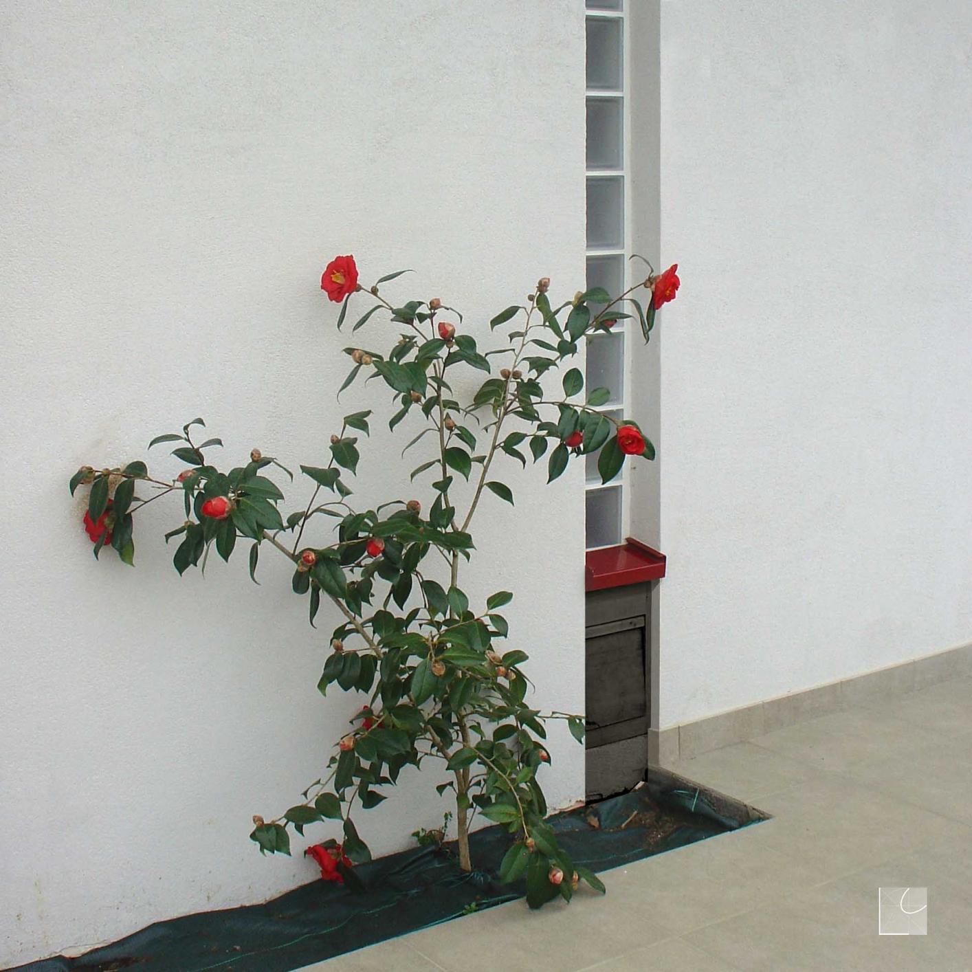 Construction de deux maisons ossature bois à Urcuit — vue 5