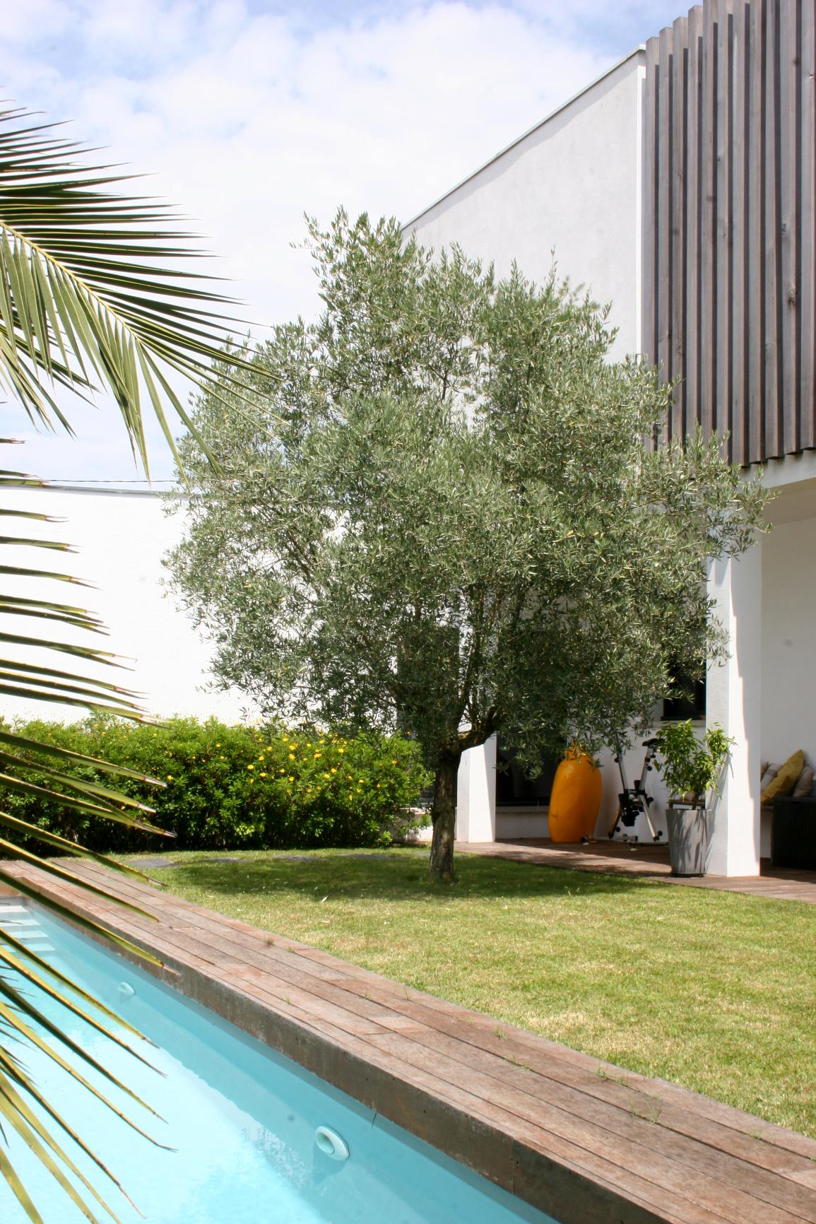 Réhabilitation extension et surélévation d’une maison individuelle à Anglet — vue 4