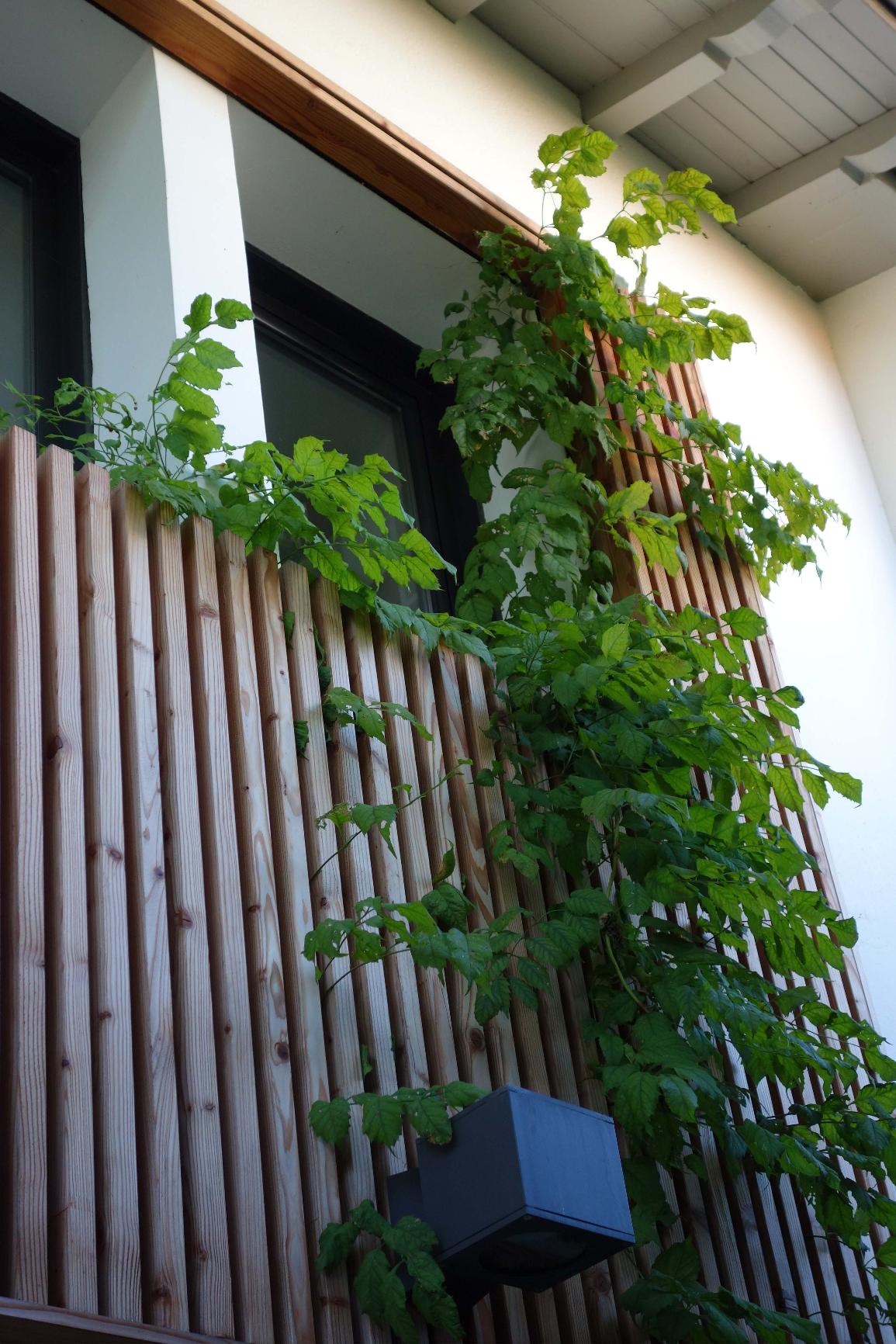 Végétalisation — vue 3