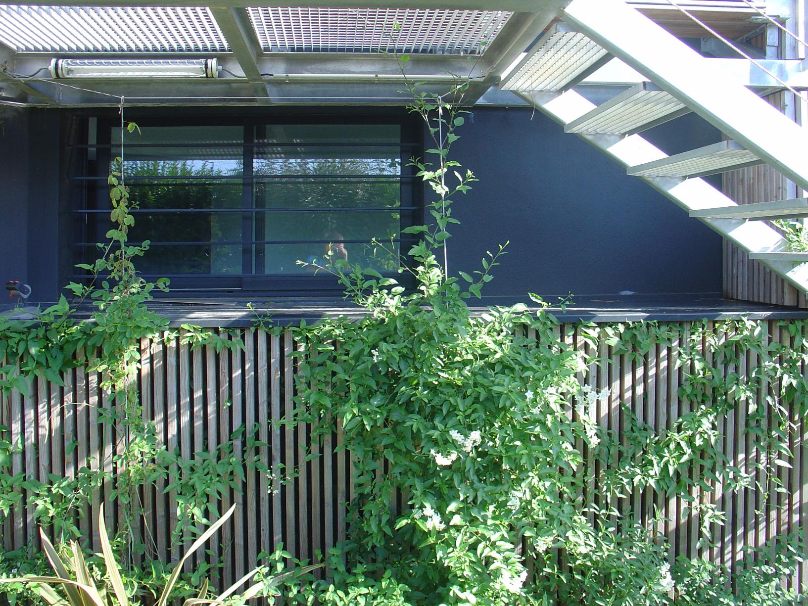 Végétalisation — vue 9