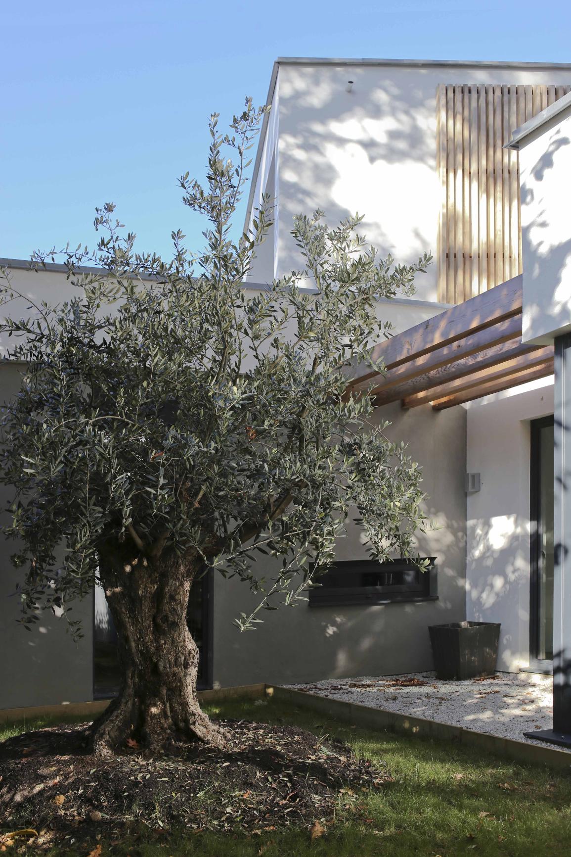 Végétalisation — vue 16