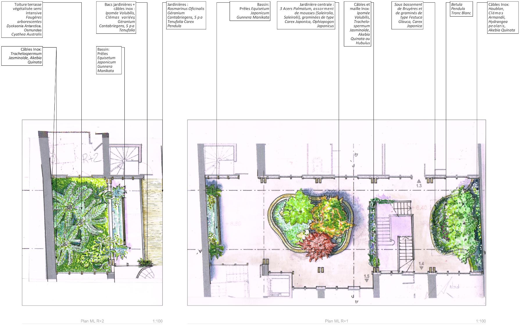 Végétalisation — vue 19