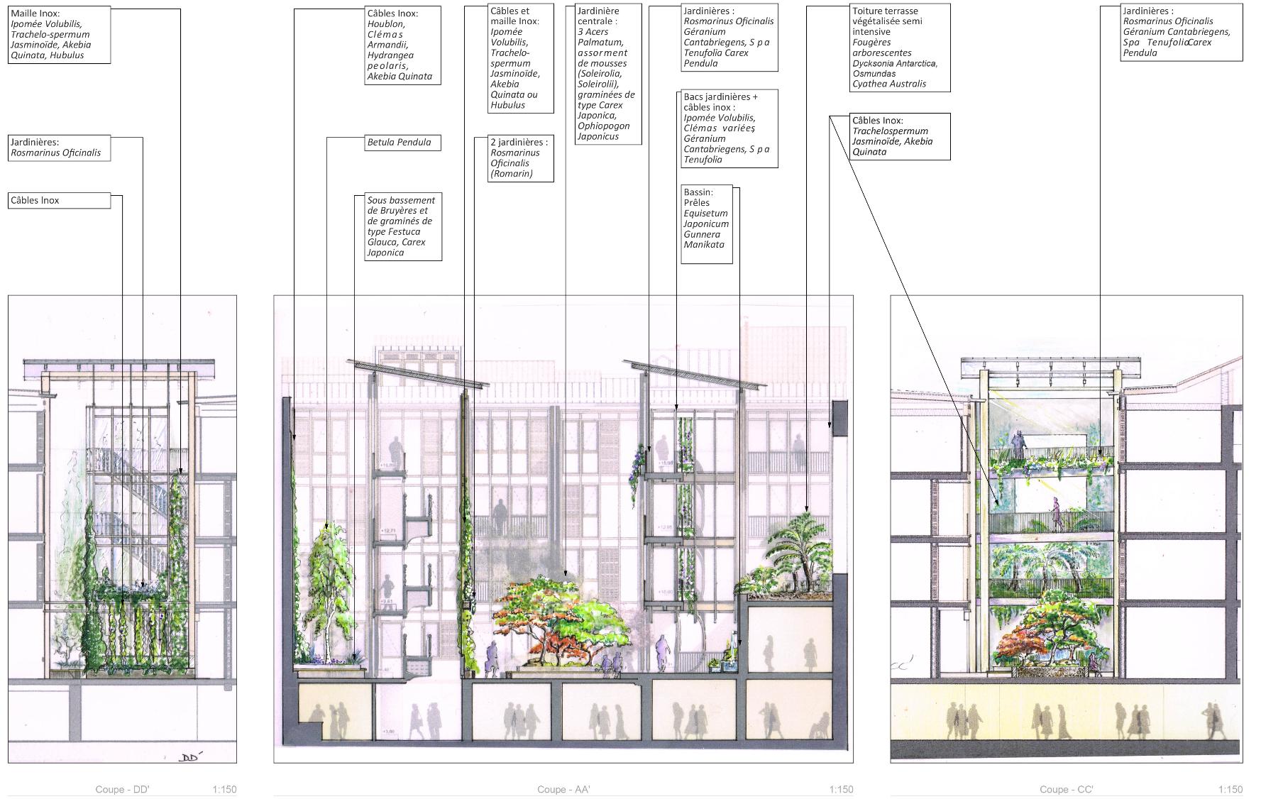 Végétalisation — vue 20